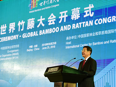 Global Bamboo and Rattan Congress 2018